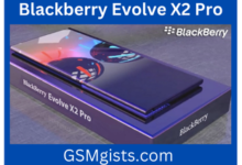 Blackberry Evolve X2 Pro